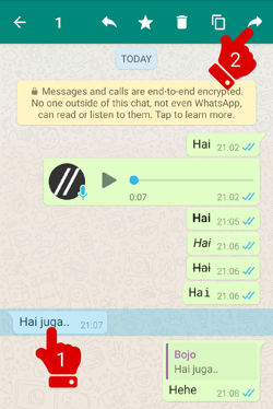 Cara Meneruskan Pesan Di Whatsapp