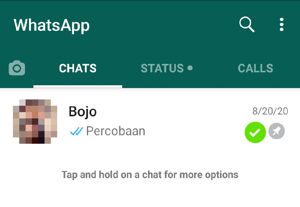 Menyematkan Pesan Di Whatsapp 2