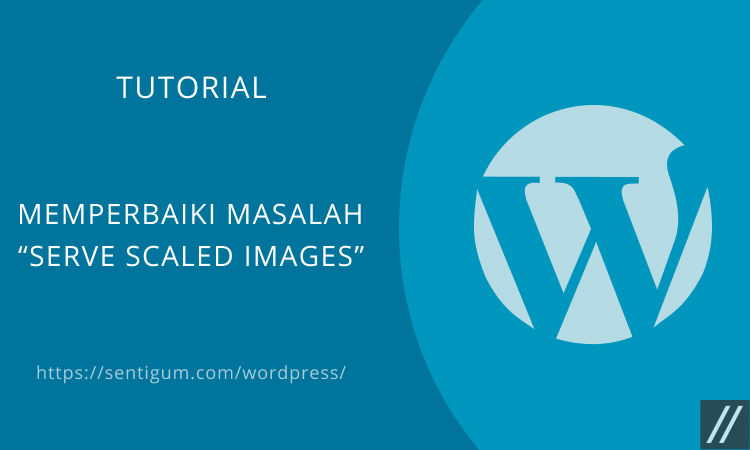 Cara Memperbaiki Masalah Serve Scaled Images Di Wordpress