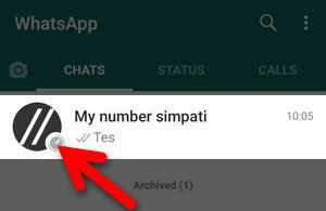 Cara Menggunakan Fitur Disappearing Messages Di Whatsapp Img 12