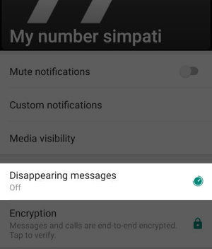 Cara Menggunakan Fitur Disappearing Messages Di Whatsapp Img 3