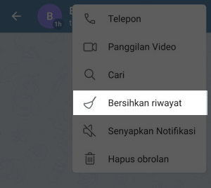 Cara Aktifkan Hapus Pesan Otomatis Di Telegram Img 3
