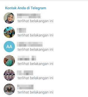 Cara Sembunyikan Status Online Di Telegram Img 7
