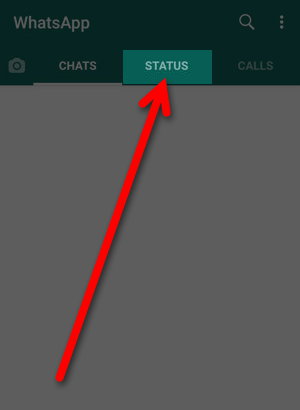 Cara Berbagi Status Hanya Dengan Kontak Tertentu Di Whatsapp Img 1