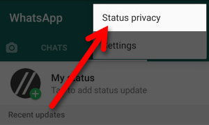 Cara Berbagi Status Hanya Dengan Kontak Tertentu Di Whatsapp Img 3