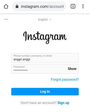 Cara Mengunduh Salinan Data Akun Instagram Img 21