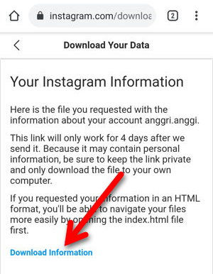 Cara Mengunduh Salinan Data Akun Instagram Img 22