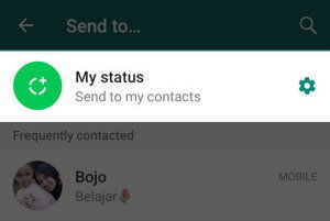 Cara Mudah Membuat Status Whatsapp Dari Foto Galeri Img 8