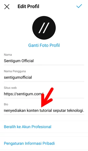 Menampilkan Nomor Telepon Di Halaman Profil Instagram Img 8