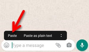 2 Cara Mengirim Pesan Kosong (blank) Di Whatsapp Img 1