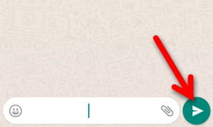 2 Cara Mengirim Pesan Kosong (blank) Di Whatsapp Img 2