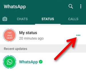 3 Cara Membagikan Status Whatsapp Di Facebook Img 2