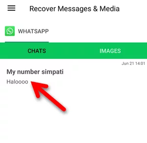 6 Cara Melihat Pesan Whatsapp Yang Sudah Dihapus Di Android Img 10