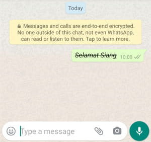 Cara Membuat Kombinasi Tulisan Tebal, Miring, Dan Coret Di Whatsapp Img 6