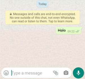 Cara Membuat Tulisan Coret (strikethrough) Di Whatsapp Img 10