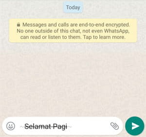 Cara Membuat Tulisan Coret (strikethrough) Di Whatsapp Img 11