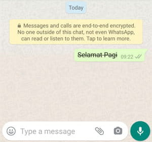 Cara Membuat Tulisan Coret (strikethrough) Di Whatsapp Img 12