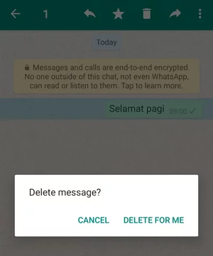 Cara Menghapus Pesan Whatsapp Setelah Habis Batas Waktu Img 1