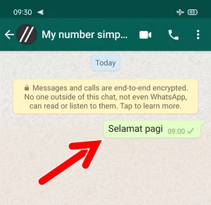 Cara Menghapus Pesan Whatsapp Setelah Habis Batas Waktu Img 11