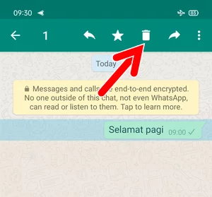 Cara Menghapus Pesan Whatsapp Setelah Habis Batas Waktu Img 12