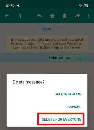 Cara Menghapus Pesan Whatsapp Setelah Habis Batas Waktu Img 13