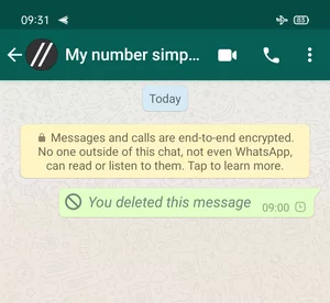 Cara Menghapus Pesan Whatsapp Setelah Habis Batas Waktu Img 14