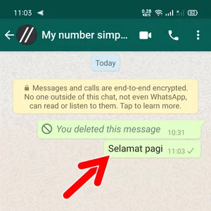 Cara Menghapus Pesan Whatsapp Setelah Habis Batas Waktu Img 17
