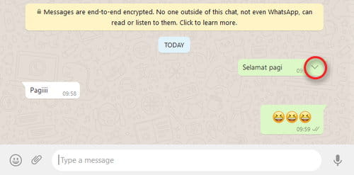 Cara Menghapus Pesan Untuk Diri Sendiri Di Whatsapp Img 1