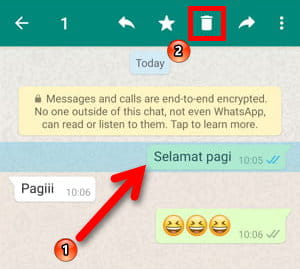 Cara Menghapus Pesan Untuk Diri Sendiri Di Whatsapp Img 4