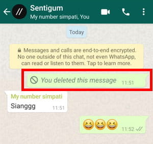 Cara Menghapus Pesan Untuk Semua Orang Di Grup Whatsapp Img 11