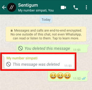 Cara Menghapus Pesan Untuk Semua Orang Di Grup Whatsapp Img 12