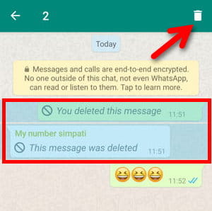Cara Menghapus Pesan Untuk Semua Orang Di Grup Whatsapp Img 13