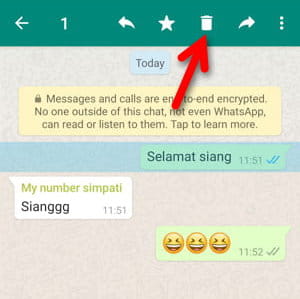 Cara Menghapus Pesan Untuk Semua Orang Di Grup Whatsapp Img 9