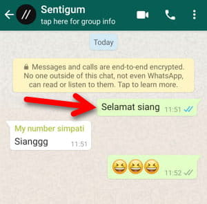 Cara Menghapus Pesan Untuk Semua Orang Di Whatsapp Img 7