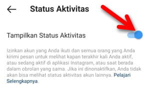 Cara Menyembunyikan Status Online Di Instagram Img 9