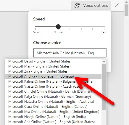 Cara Mengaktifkan Text To Speech Bahasa Indonesia Di Windows 10 Img 8