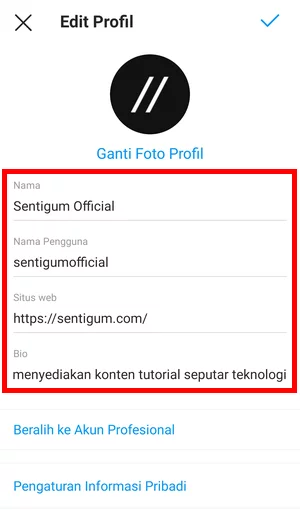 Memperbarui Informasi Profil Instagram Img 3
