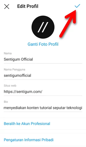 Memperbarui Informasi Profil Instagram Img 6