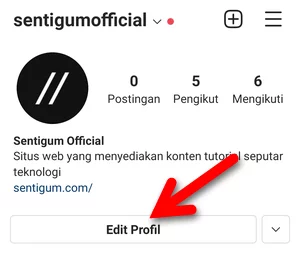 Menambahkan Bio Website Instagram Img 18