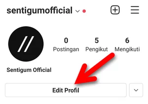 Menambahkan Bio Website Instagram Img 2