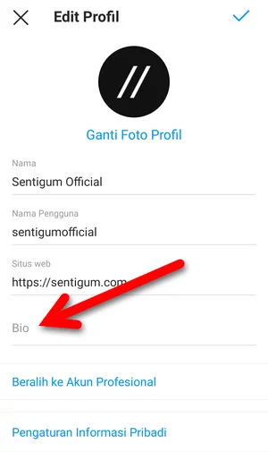 Menambahkan Bio Website Instagram Img 4
