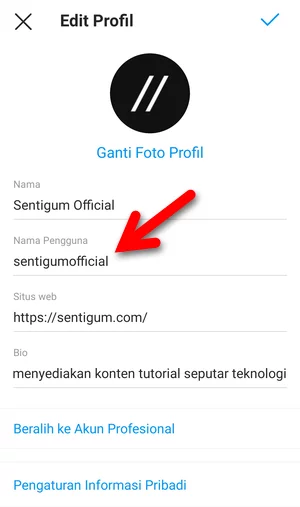 Mengubah Nama Pengguna Instagram Img 6