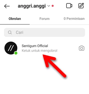 Mensenyapkan Profil Instagram Img 2