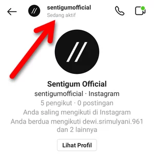 Mensenyapkan Profil Instagram Img 3