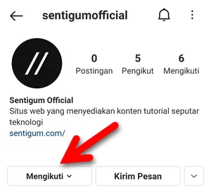 Mensenyapkan Profil Instagram Img 5