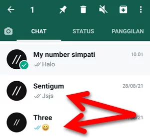 Menyematkan Chat Whatsapp Img 3