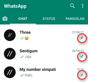 Menyematkan Chat Whatsapp Img 5