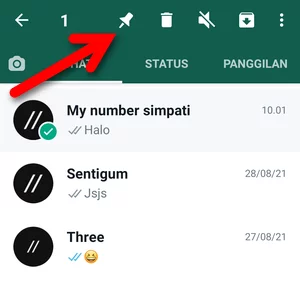 Menyematkan Chat Whatsapp Img 9