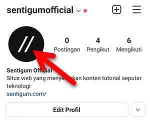 Download Foto Profil Instagram Img 1