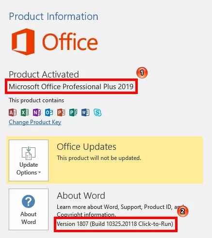 Menampilkan Versi Microsoft Office Img 3